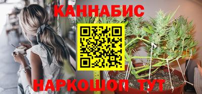 стафф Будённовск