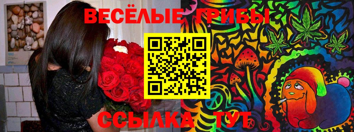 Галлюциногенные грибы Cubensis Сарапул